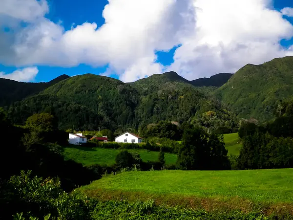 Sao Miguel Adası 'nda dağın tepesinde. Azores. Doğanın güzelliği.