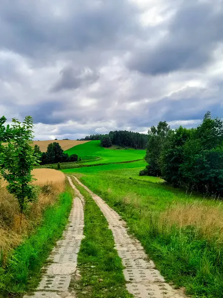 Kashubia 'daki çayır üzerinde kara bulutlar. Yağmurlu hava geliyor. Kuzey Polonya 'nın güzel doğası.