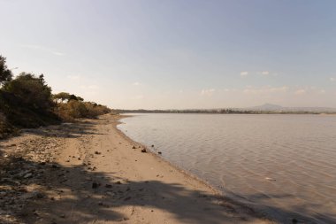 Larnaka Gölü, Kıbrıs. Larnaka yakınlarındaki Salt Gölü 'nde. Flamingo kuşlarının doğal yaşam alanı.