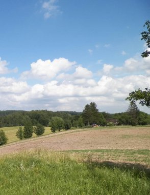Wiezyca Kashubia bölgesinin tepeleri ve tarlaları, Polonya. Seyahat ve doğa kavramı.