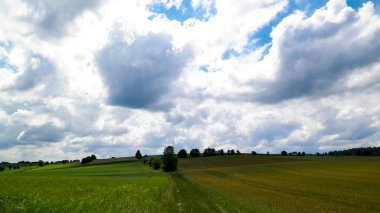 Kashubian çayırının karşısındaki köy yolu. Kashubia, Polonya açıklarında..