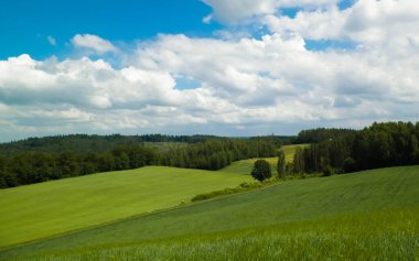 Yazın Kashubia 'nın inanılmaz doğası. Yeşil tarlalar, tepeler ve çayırlar.