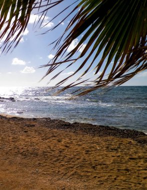 Paphos City yakınlarındaki tropik plaj, Kıbrıs adası. Boşluğu mavi gökyüzünde kopyala - bir kartpostal için iyi bir arkaplan.