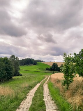 Kashubia 'daki çayır üzerinde kara bulutlar. Yağmurlu hava geliyor. Kuzey Polonya 'nın güzel doğası.