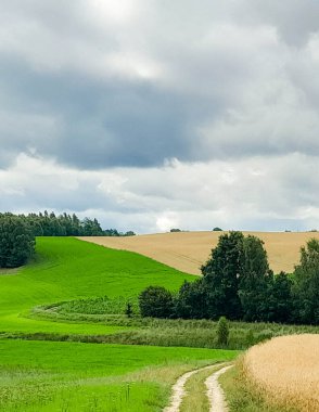Kashubia 'daki tarlaların üzerindeki kara bulutlar. Yağmur yağacak. Kuzey Polonya 'nın güzel doğası.