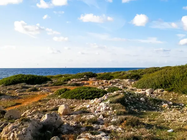 Kıbrıs Rum Kesimi 'nin Coral Bay yakınlarındaki kıyı bölgesinde. Saf doğa..