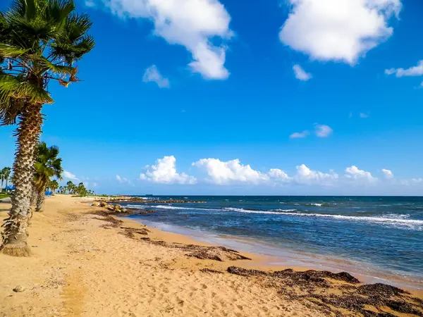 Paphos City yakınlarındaki tropik plaj, Kıbrıs adası. Boşluğu mavi gökyüzünde kopyala - bir kartpostal için iyi bir arkaplan.