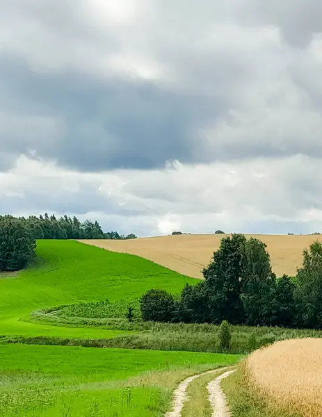 Kashubia 'daki tarlaların üzerindeki kara bulutlar. Yağmur yağacak. Kuzey Polonya 'nın güzel doğası.