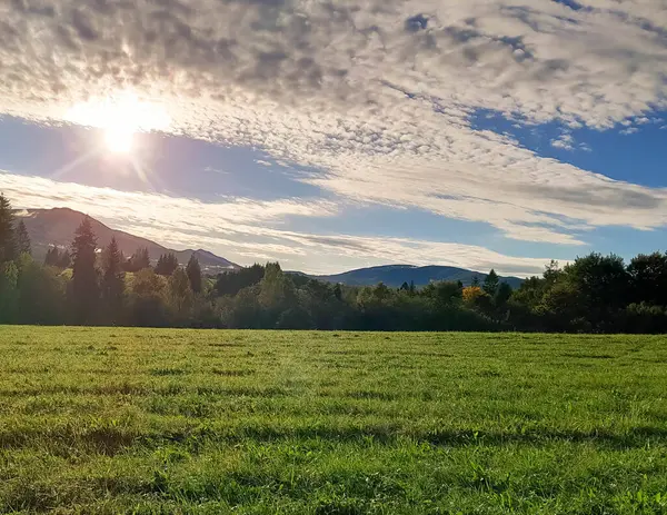 Güneşli bir günde Polonya Bieszczady Dağları 'nın güzel manzarası. Karpatların güzelliğini keşfetmek.