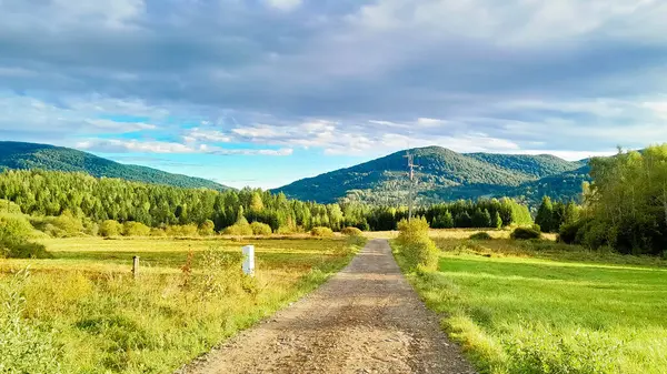 Güneşli bir günde Polonya Bieszczady Dağları 'nın güzel manzarası. Karpatların güzelliğini keşfetmek.