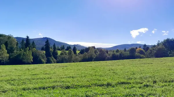Güneşli bir günde Polonya Bieszczady Dağları 'nın güzel manzarası. Karpatların güzelliğini keşfetmek.