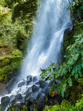 Azores 'de inanılmaz bir şelale. Sao Miguel Adası. Doğanın güzelliği.