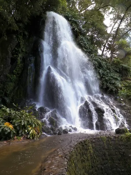 Tropikal ormanda şelale. Azores Takımadası. Sao Miguel Adası.