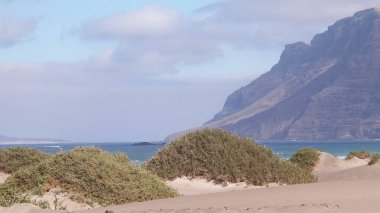 Lanzarote Adası 'ndaki Sandy Beach Caleta de Famara. Kanaryalar. Sörfçüler arasında ikonik bir yer.