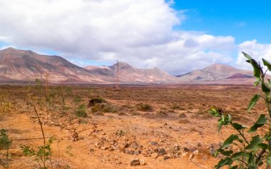 Lanzarote Adası 'nda çöl. Kanarya takımadalarının saf doğası.