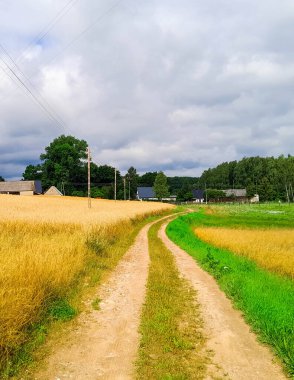 Kashubia 'daki çayır üzerinde kara bulutlar. Yağmurlu hava geliyor. Kuzey Polonya 'nın güzel doğası.