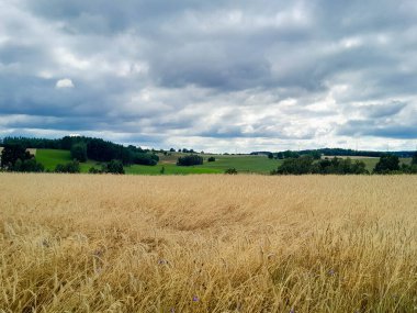 Kashubia 'daki çayır üzerinde kara bulutlar. Yağmurlu hava geliyor. Kuzey Polonya 'nın güzel doğası.