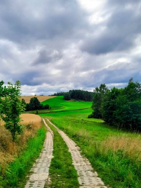 Kashubia 'daki çayır üzerinde kara bulutlar. Yağmurlu hava geliyor. Kuzey Polonya 'nın güzel doğası.