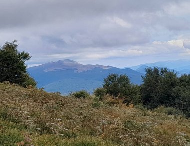 Bieszczady dağlarının güzel manzarası. Karpatlar. Doğanın güzelliği.