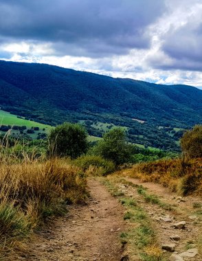 Bieszczady dağlarının güzel manzarası. Karpatlar. Doğanın güzelliği.