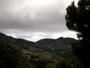 Azores adaları Sao Miguel 'in vahşi doğası. Dağlar, otlaklar, çayırlar ve tropikal ormanlar. Azores Portekiz 'in otonom bölgesi olan küçük bir takımadalardır..