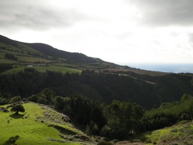Tipik Azores manzarası. Arka planda doğal yeşil arazi tepeleri ve deniz. Doğanın güzelliği konsepti.