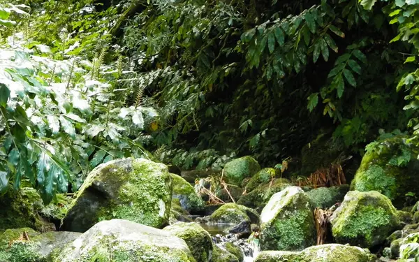 Lanzarote Adası Kanarya Adaları 'ndaki Montana Roja volkan krateri üzerinde gün batımı.