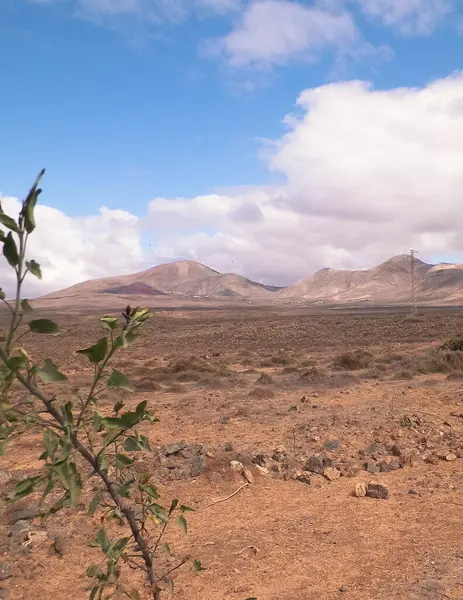 Lanzarote Adası 'nda çöl. Kanarya takımadalarının saf doğası.