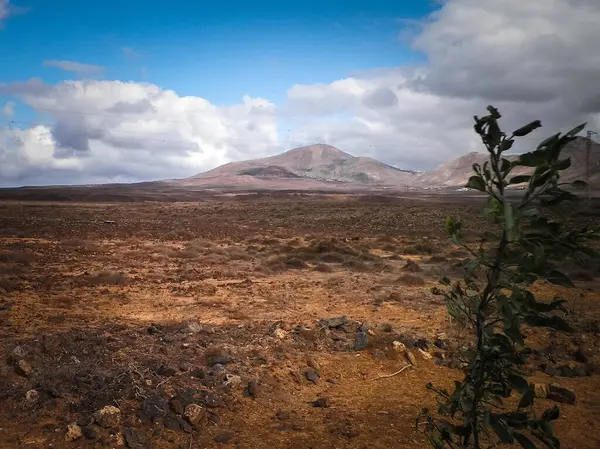 Lanzarote Adası 'nda çöl. Kanarya takımadalarının saf doğası.
