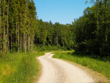 Kashubia 'da ormanın üzerindeki yol. Polonya. Kuzey Polonya 'nın güzel doğası.