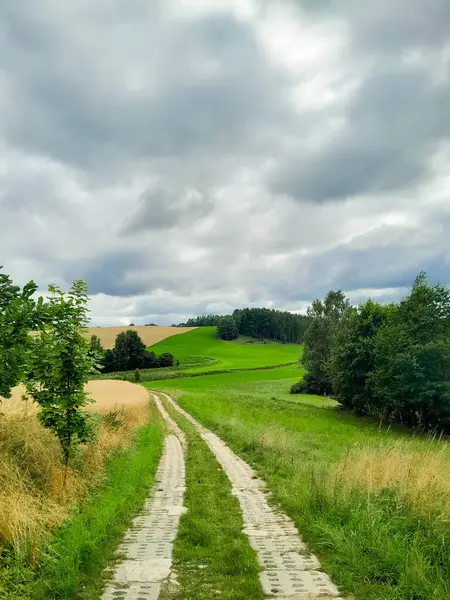 Kashubia 'daki çayır üzerinde kara bulutlar. Yağmurlu hava geliyor. Kuzey Polonya 'nın güzel doğası.
