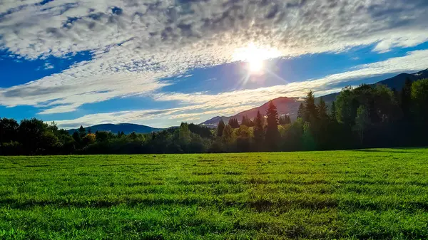 Güneşli bir günde Polonya Bieszczady Dağları 'nın güzel manzarası. Karpatların güzelliğini keşfetmek.