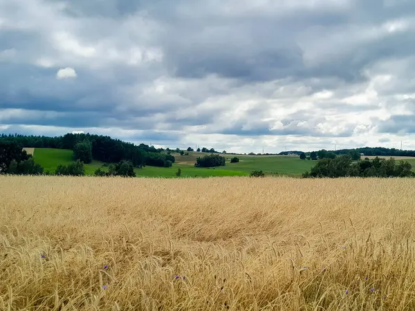 Kashubia 'daki çayır üzerinde kara bulutlar. Yağmurlu hava geliyor. Kuzey Polonya 'nın güzel doğası.
