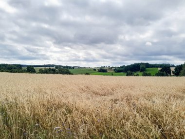 Kashubia 'daki çayır üzerinde kara bulutlar. Yağmurlu hava geliyor. Kuzey Polonya 'nın güzel doğası.