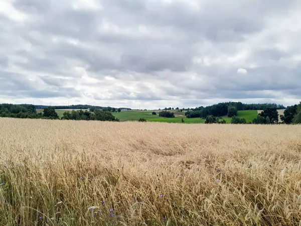 Kashubia 'daki çayır üzerinde kara bulutlar. Yağmurlu hava geliyor. Kuzey Polonya 'nın güzel doğası.