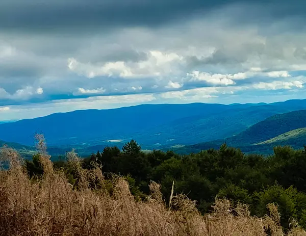 Dağın tepesinden Karpatların güzel manzarası. Doğanın güzelliği.