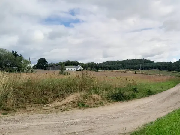 Kashubia 'daki çayır üzerinde kara bulutlar. Yağmurlu hava geliyor. Kuzey Polonya 'nın güzel doğası.