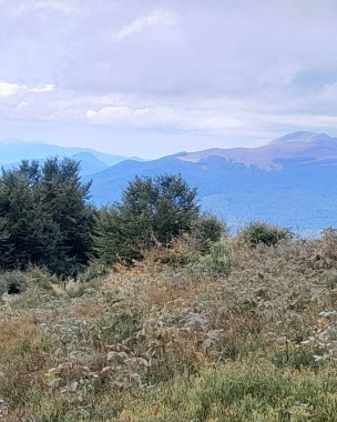 Dağın tepesinden Karpatların güzel manzarası. Doğanın güzelliği.