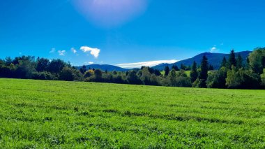 Güneşli bir günde Polonya Bieszczady Dağları 'nın güzel manzarası. Karpatların güzelliğini keşfetmek.