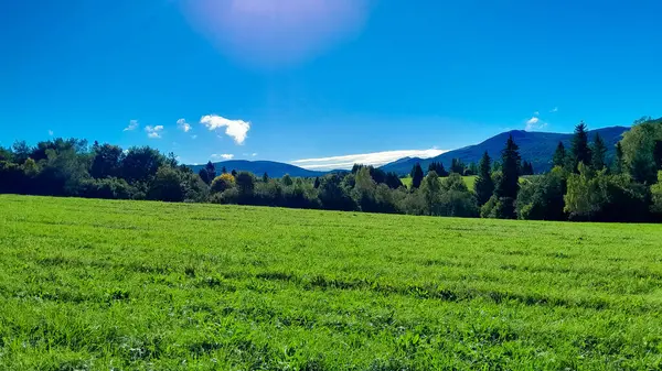 Güneşli bir günde Polonya Bieszczady Dağları 'nın güzel manzarası. Karpatların güzelliğini keşfetmek.