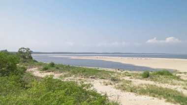 Sobieszewska Adası 'ndaki Baltık Denizi Kıyısı. Vistula Nehri 'nin kıyısında. Kuzey Polonya 'nın doğası.