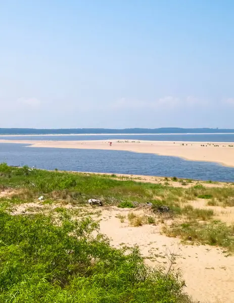 Sobieszewska Adası 'ndaki Baltık Denizi Kıyısı. Vistula Nehri 'nin kıyısında. Kuzey Polonya 'nın doğası.