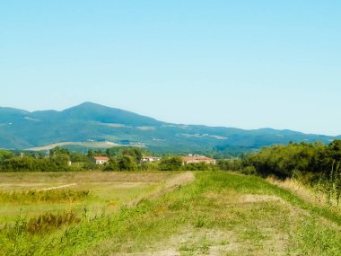 Toskana, arka planda çayır ve Apeninlerin manzarası. İtalya, Toskana 'da yaz.