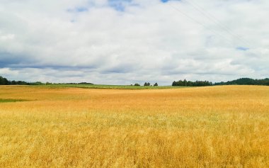 Kashubia 'daki çayır üzerinde kara bulutlar. Yağmurlu hava geliyor. Kuzey Polonya 'nın güzel doğası.