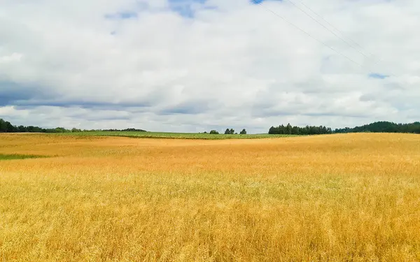 Kashubia 'daki çayır üzerinde kara bulutlar. Yağmurlu hava geliyor. Kuzey Polonya 'nın güzel doğası.