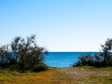 Akdeniz, doğa, Vada şehrine yakın. Mavi gökyüzü arka planında Tyrhenian deniz kıyısı. Tatiller ve doğa konsepti. Boşluğu mavi gökyüzünde kopyala.
