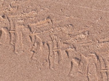 Çölün veya kumsalın üzerindeki lastik izleri. Doğal arka plan. Offroad ve seyahat kavramı.