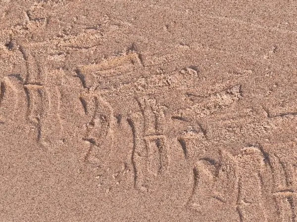 Çölün veya kumsalın üzerindeki lastik izleri. Doğal arka plan. Offroad ve seyahat kavramı.