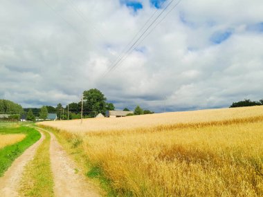 Kashubia 'daki çayır üzerinde kara bulutlar. Yağmurlu hava geliyor. Kuzey Polonya 'nın güzel doğası.