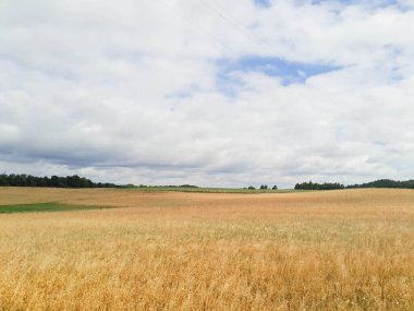 Kashubia 'da kara bulutlar var. Fırtına yaklaşıyor. Kuzey Polonya 'nın şaşırtıcı doğası.